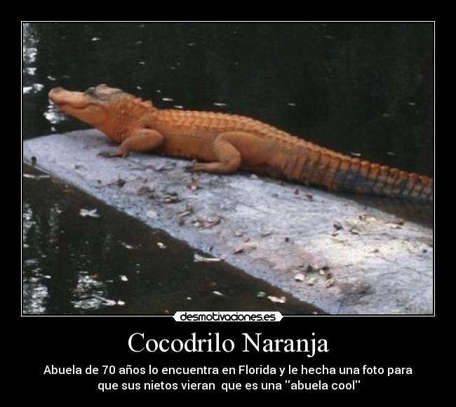 carteles desmotivaciones