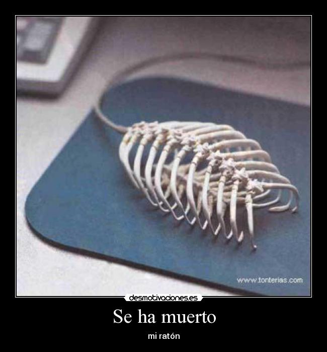 Se ha muerto -