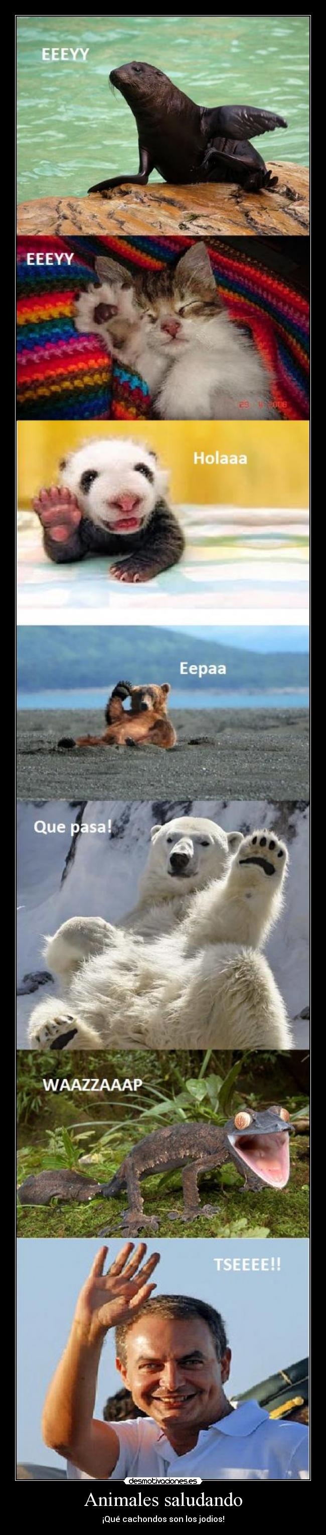 Animales saludando -