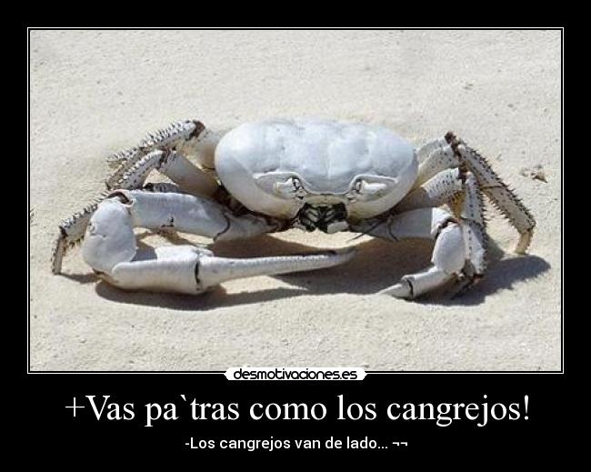+Vas pa`tras como los cangrejos! -