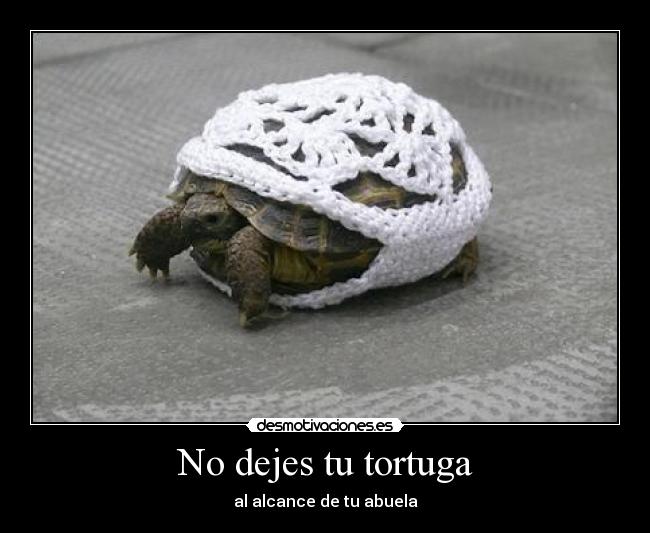 No dejes tu tortuga - al alcance de tu abuela