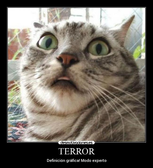 TERROR - 