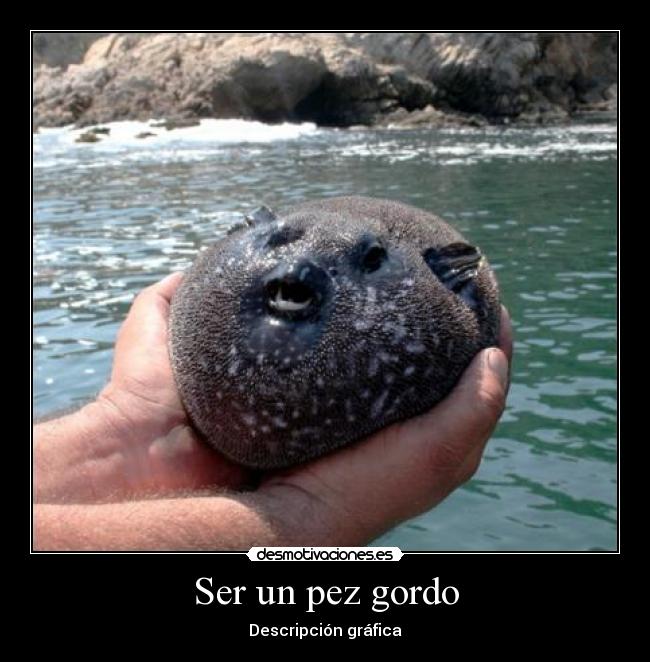 Ser un pez gordo -