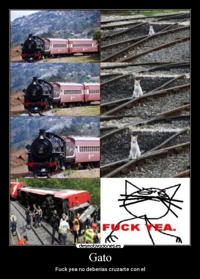 Gato - Fuck yea no deberías cruzarte con el