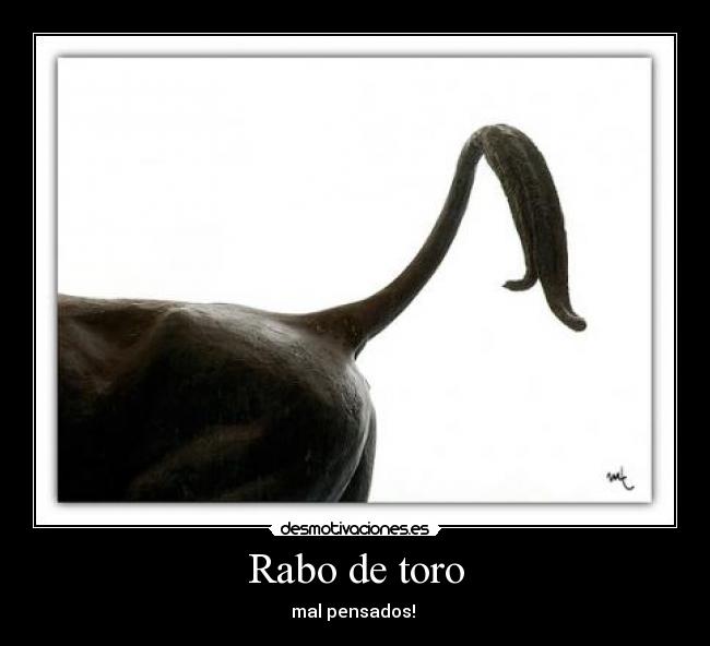 Rabo de toro -