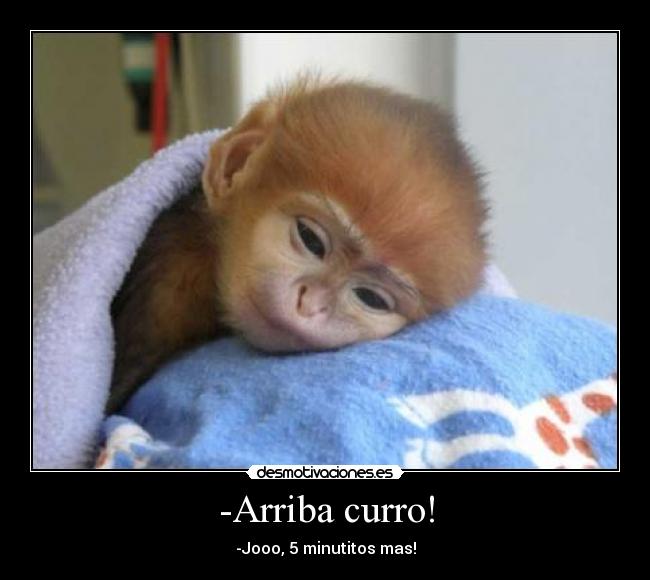 -Arriba curro! - -Jooo, 5 minutitos mas!