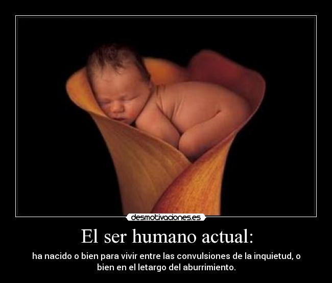 carteles ser humano desmotivaciones