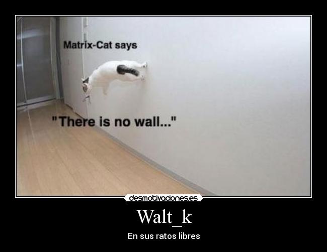 Walt_k - En sus ratos libres
