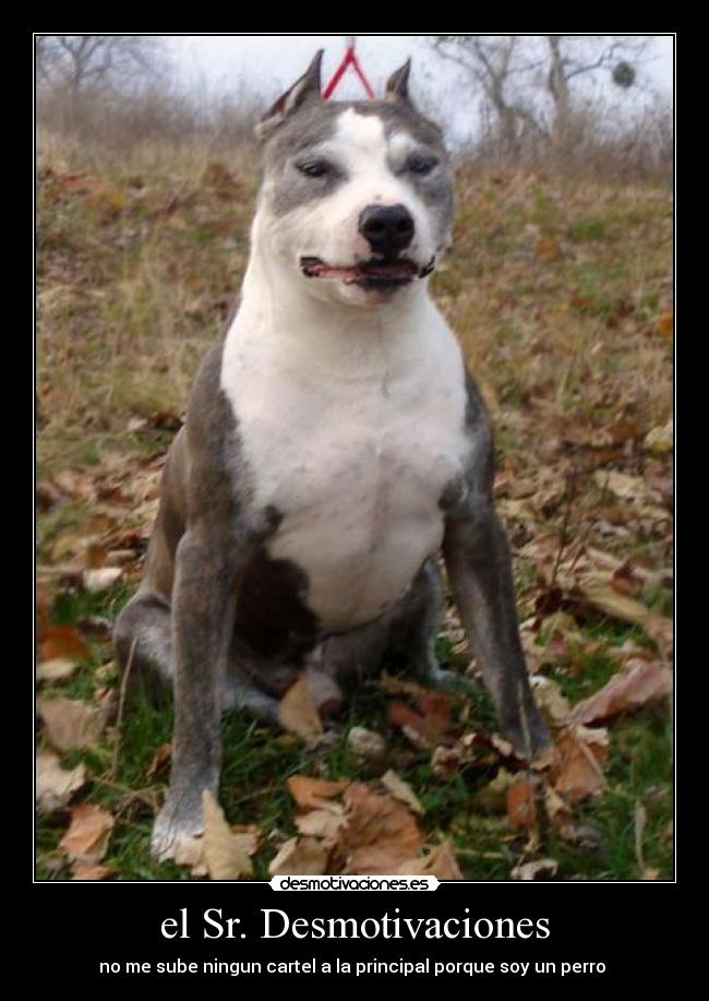 el Sr. Desmotivaciones -