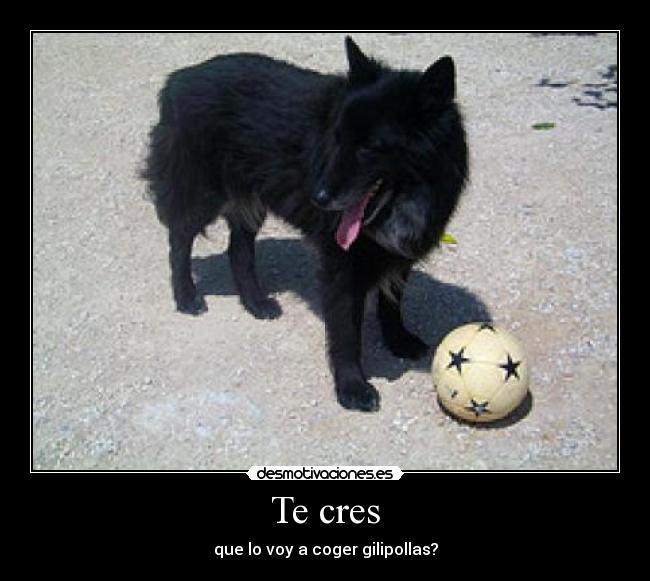 carteles  desmotivaciones