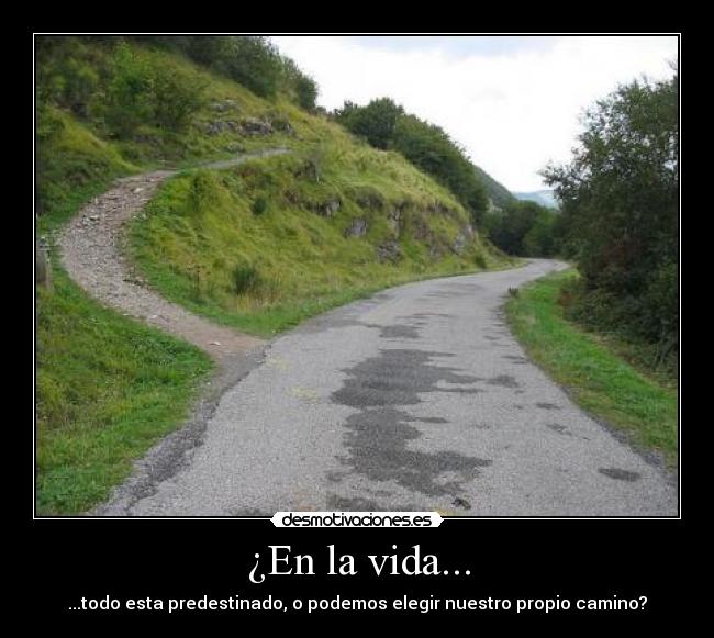 ¿En la vida... -