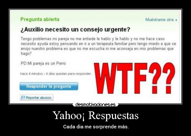 carteles yahoo respuestas perro wtf sin comentarios desmotivaciones