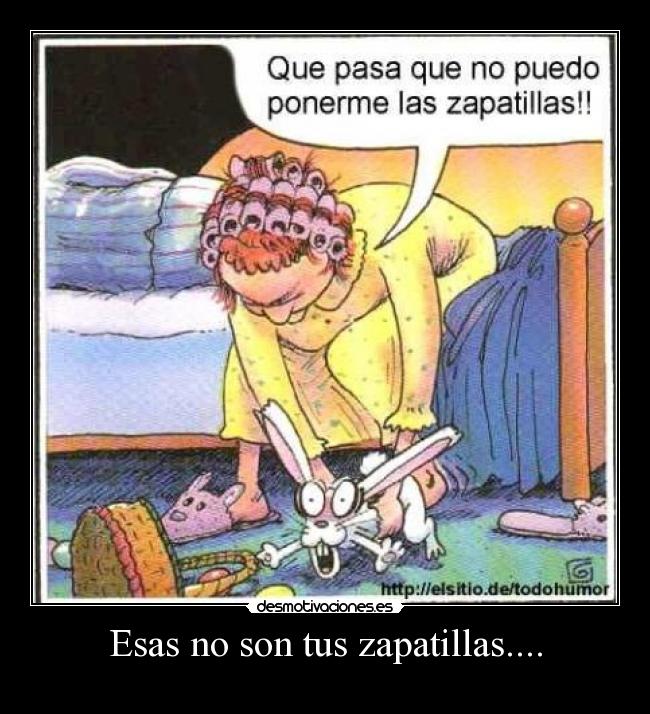 Esas no son tus zapatillas.... -