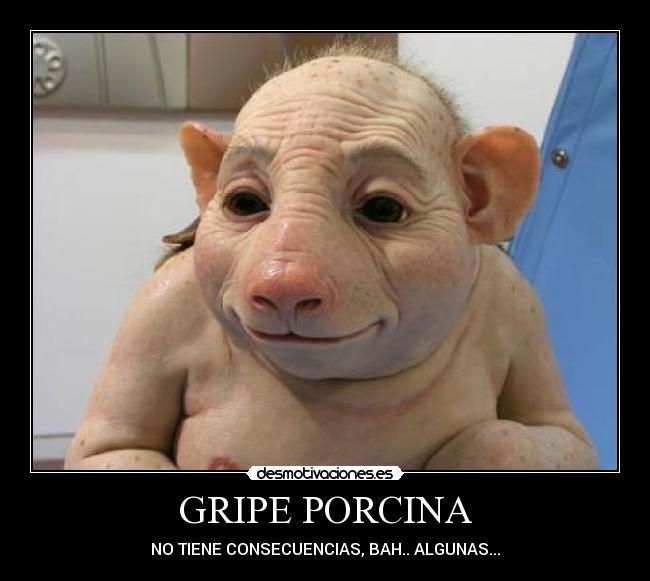 GRIPE PORCINA - NO TIENE CONSECUENCIAS, BAH.. ALGUNAS...