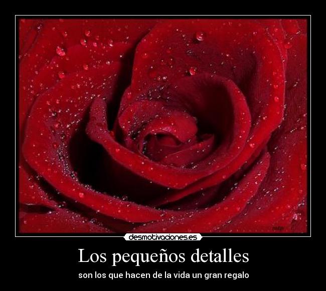 Los pequeños detalles -