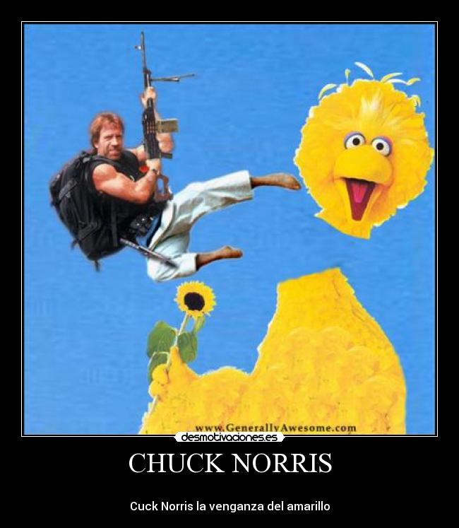 CHUCK NORRIS -