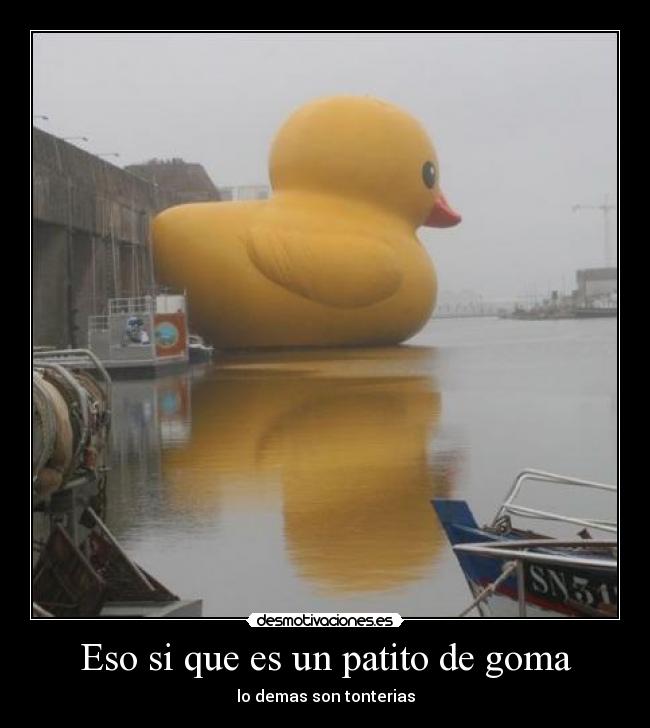 Eso si que es un patito de goma - 