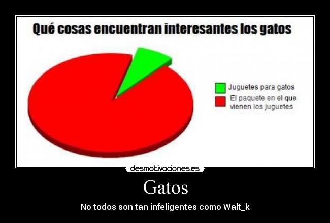 Gatos -