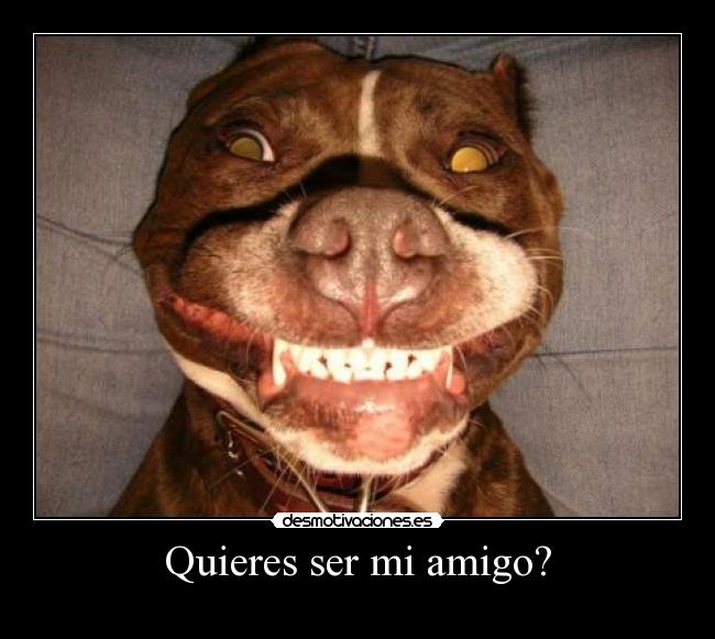 carteles perroo desmotivaciones