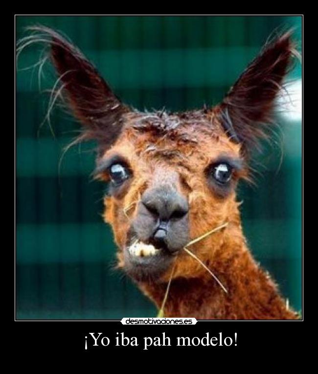 ¡Yo iba pah modelo! -