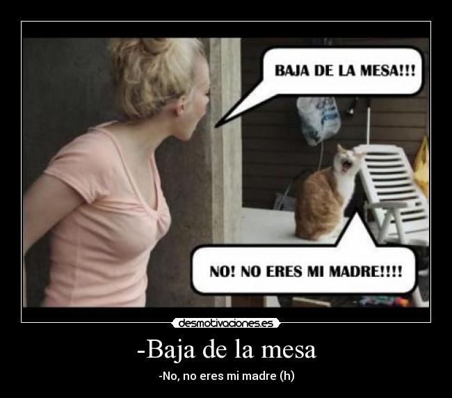 carteles gatosmesa madre desmotivaciones