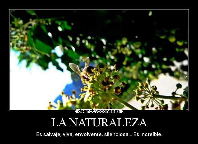 carteles naturaleza naturaleza desmotivaciones