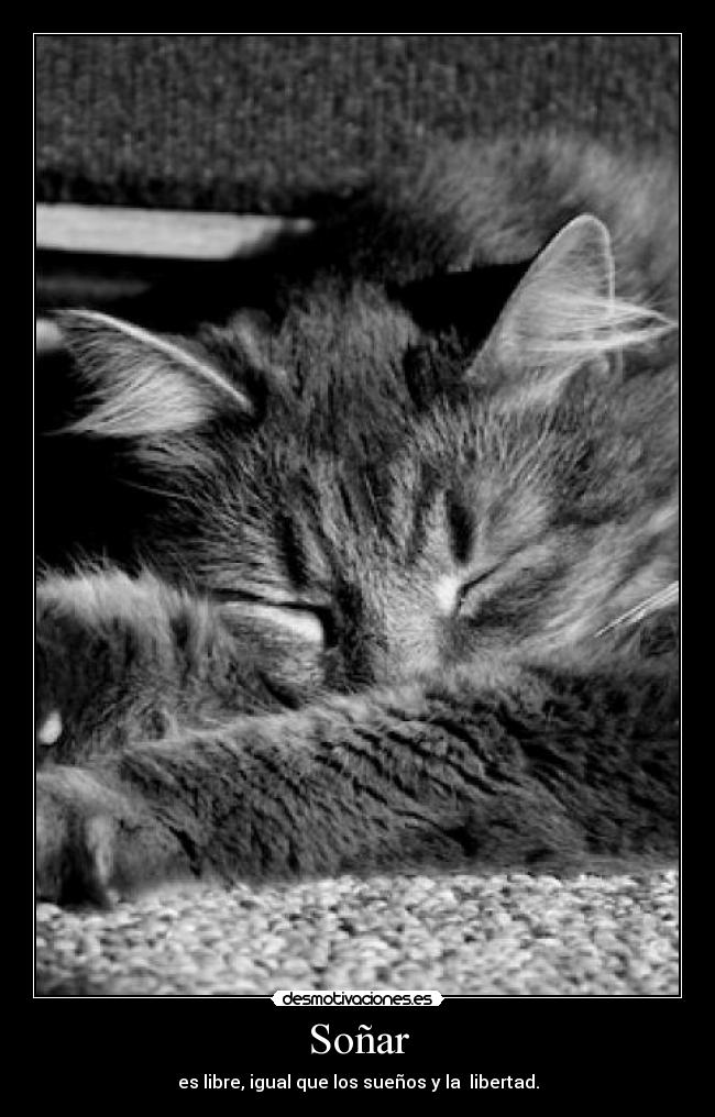 carteles sonar desmotivaciones