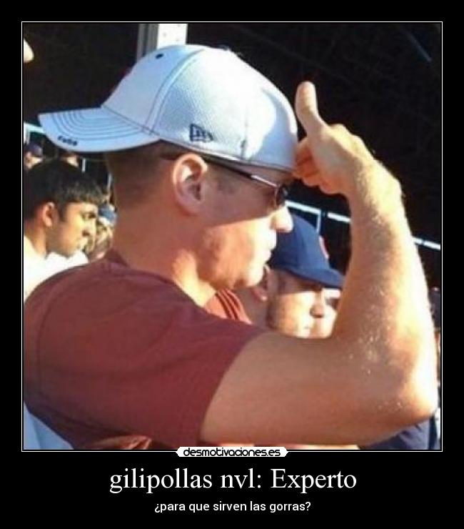 gilipollas nvl: Experto - 