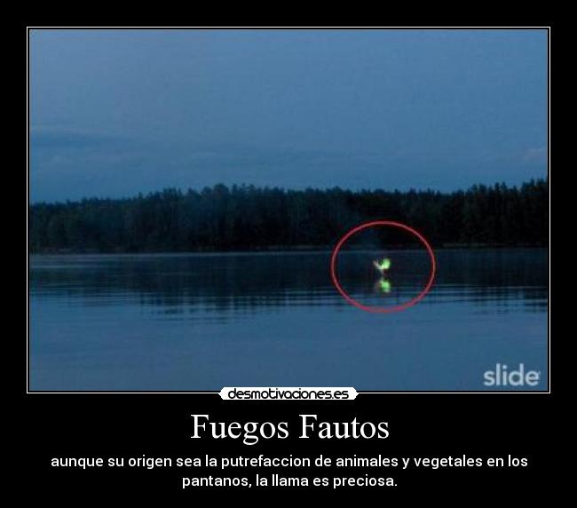 Fuegos Fautos -