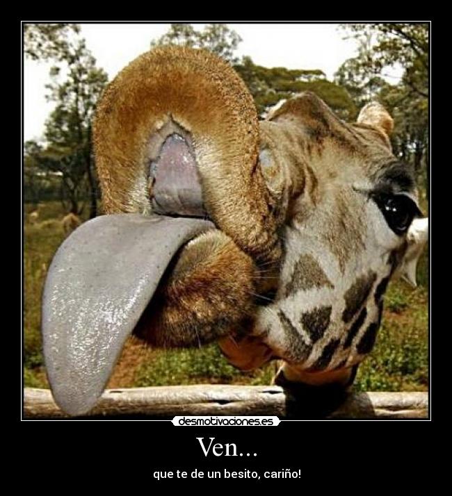 Ven... - que te de un besito, cariño!