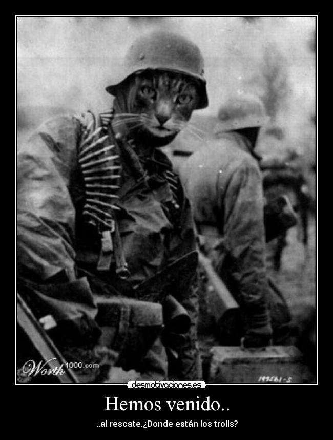 Hemos venido.. - ..al rescate.¿Donde están los trolls?