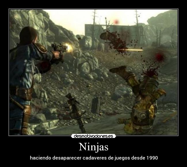 Ninjas -
