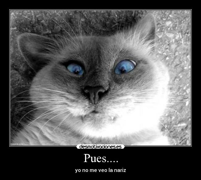 Pues.... - yo no me veo la nariz