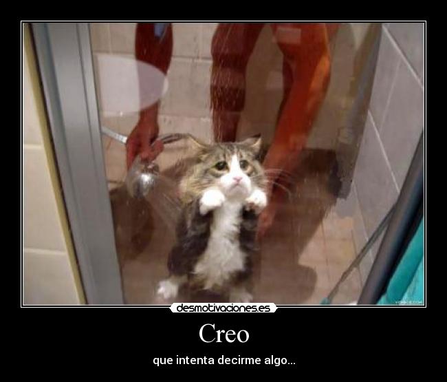 Creo -