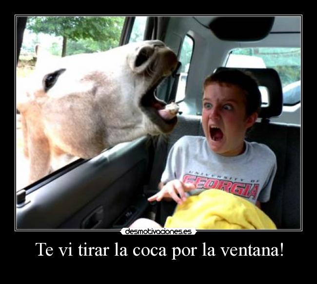 Te vi tirar la coca por la ventana! -