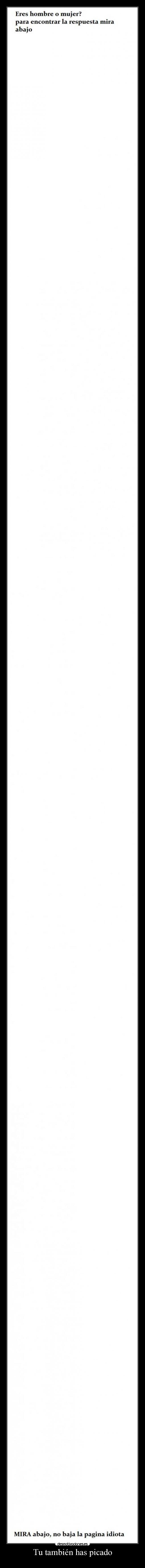 Tu también has picado -