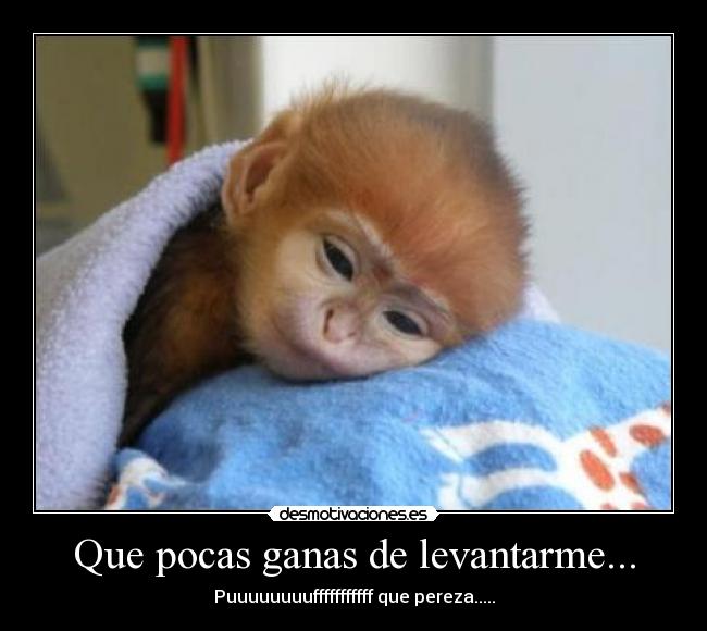Que pocas ganas de levantarme... - 