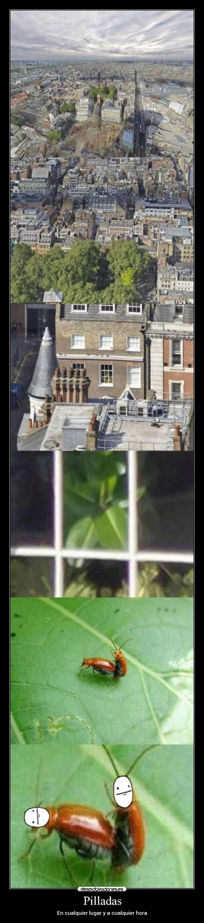 Pilladas - En cualquier lugar y a cualquier hora