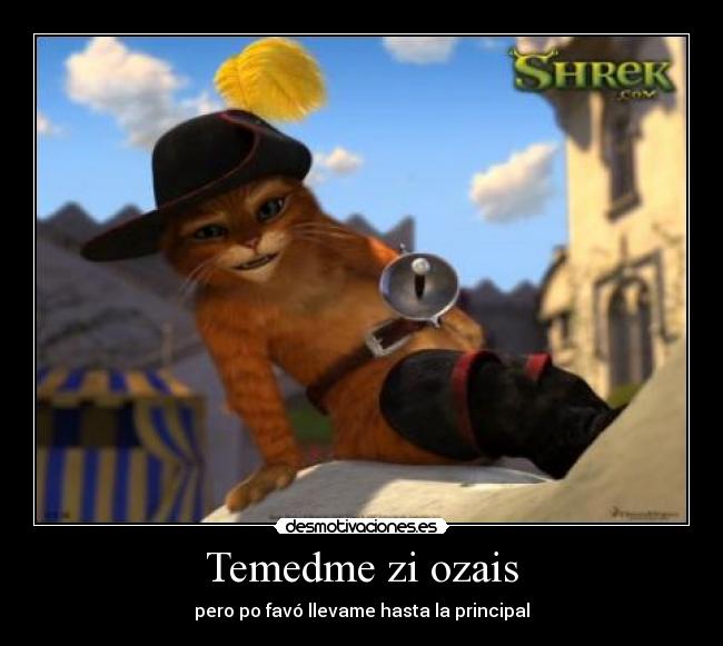 Temedme zi ozais -