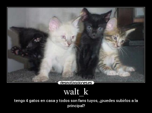 walt_k -