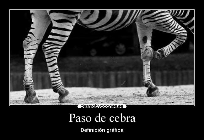 Paso de cebra -