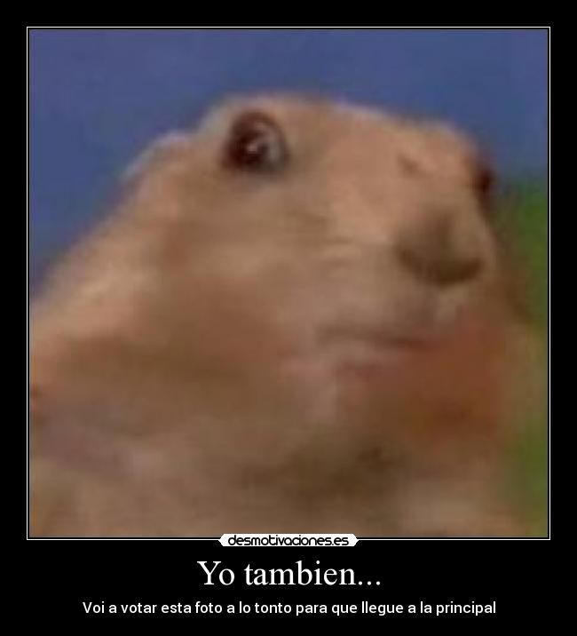 Yo tambien... -