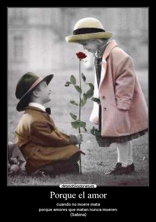 Porque el amor -