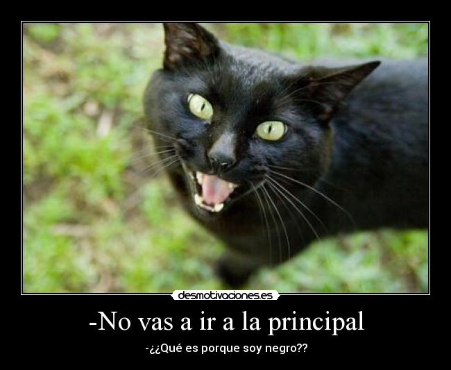 -No vas a ir a la principal - -¿¿Qué es porque soy negro??