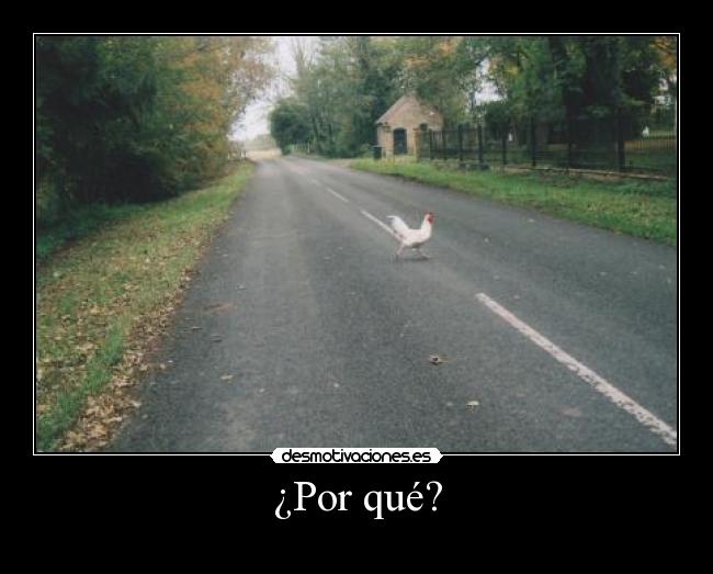 ¿Por qué? -