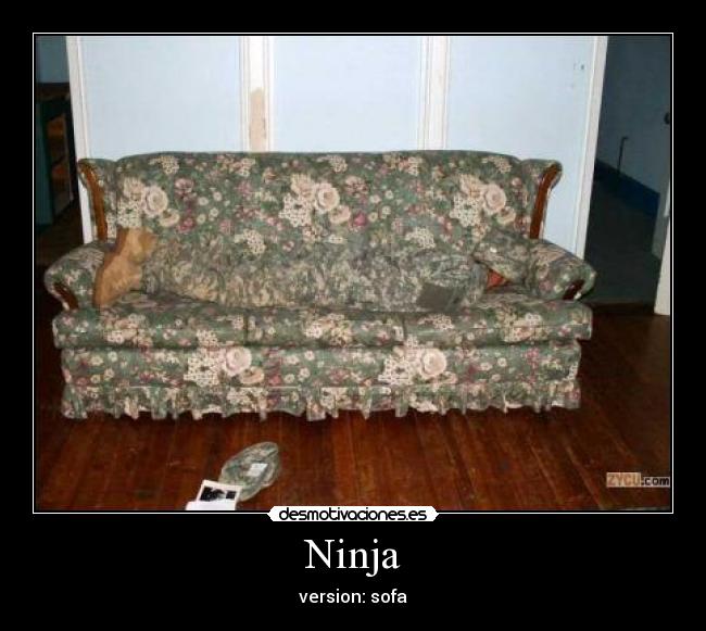 Ninja - version: sofa