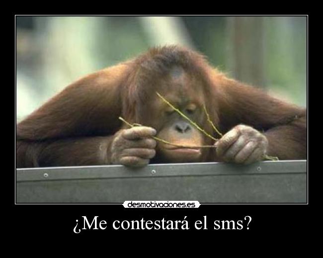 carteles contestara sms desmotivaciones
