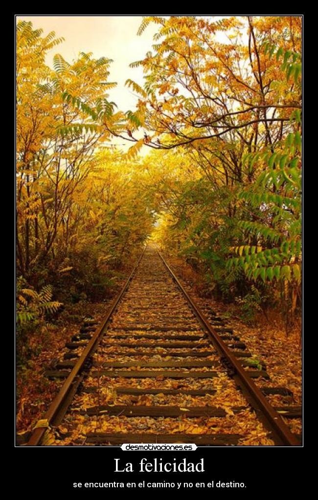 La felicidad - se encuentra en el camino y no en el destino.