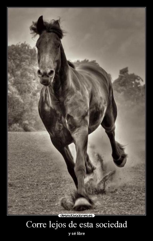 Corre lejos de esta sociedad - y sé libre