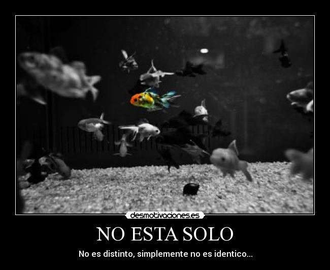 NO ESTA SOLO - No es distinto, simplemente no es identico...